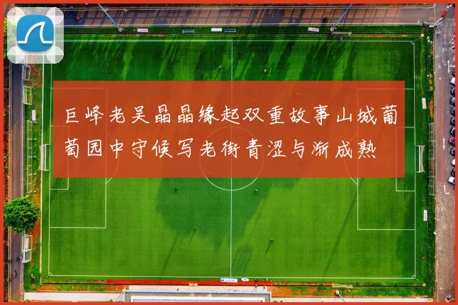 巨峰老吴晶晶缘起双重故事山城葡萄园中守候写老街青涩与渐成熟