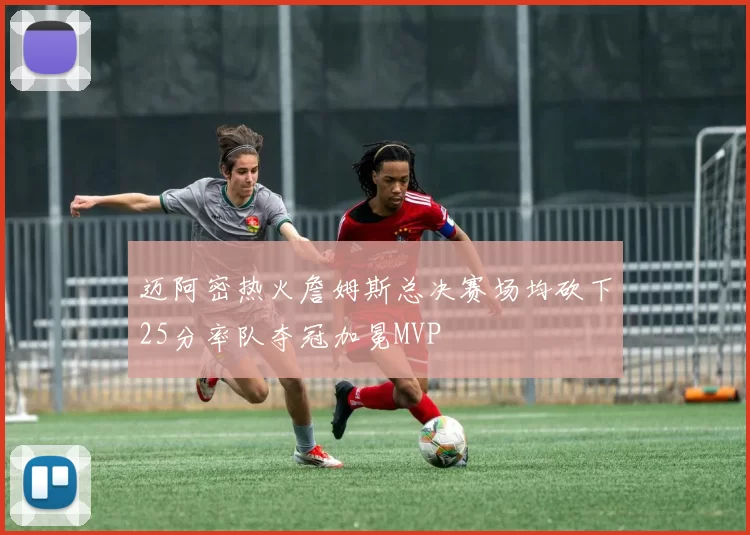 迈阿密热火詹姆斯总决赛场均砍下25分率队夺冠加冕MVP