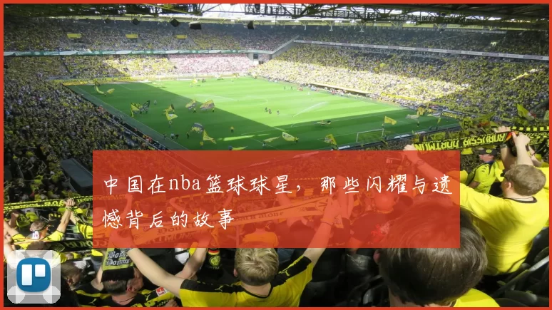 中国在nba篮球球星，那些闪耀与遗憾背后的故事