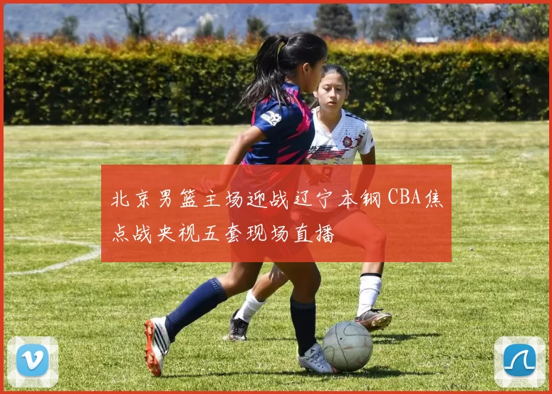 北京男篮主场迎战辽宁本钢 CBA焦点战央视五套现场直播
