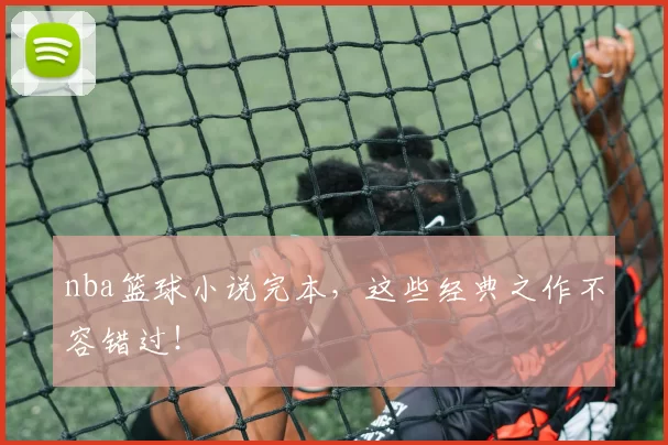 nba篮球小说完本，这些经典之作不容错过！