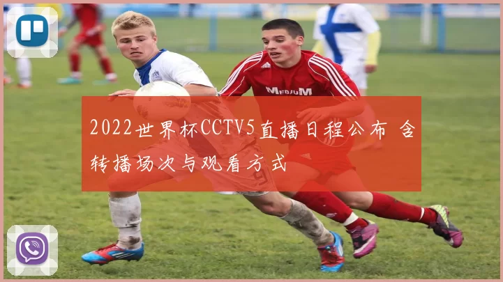 2022世界杯CCTV5直播日程公布 含转播场次与观看方式