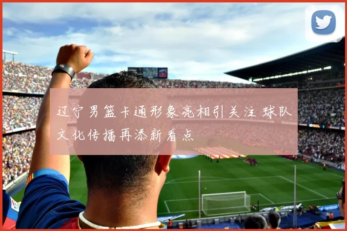 辽宁男篮卡通形象亮相引关注 球队文化传播再添新看点