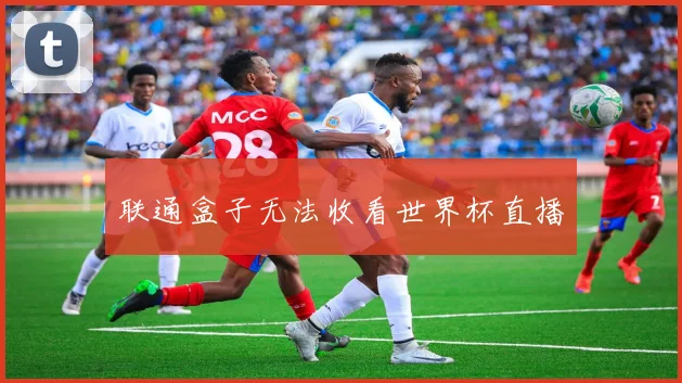 联通盒子无法收看世界杯直播