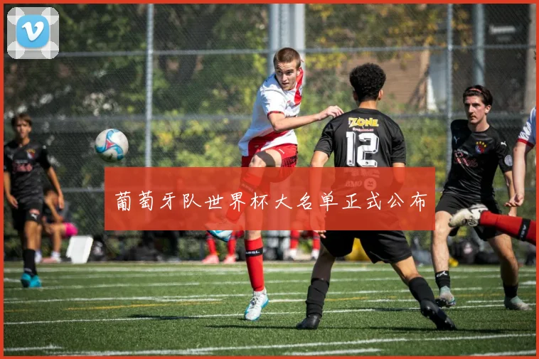 葡萄牙队世界杯大名单正式公布