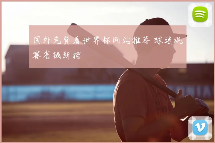 国外免费看世界杯网站推荐 球迷观赛省钱新招