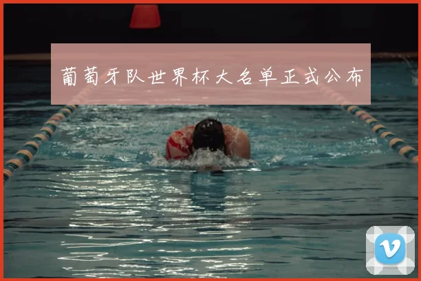 葡萄牙队世界杯大名单正式公布