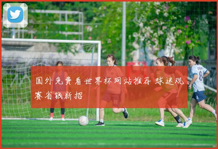 国外免费看世界杯网站推荐 球迷观赛省钱新招